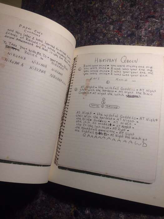 The Kurt Cobain Journals - Kurt Cobain
