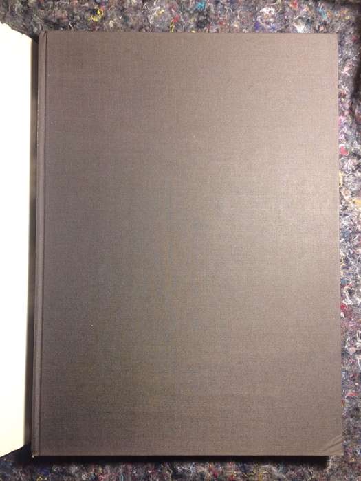 Twilight of the Giants - Clive Walker (1st Edition Hardcover)
