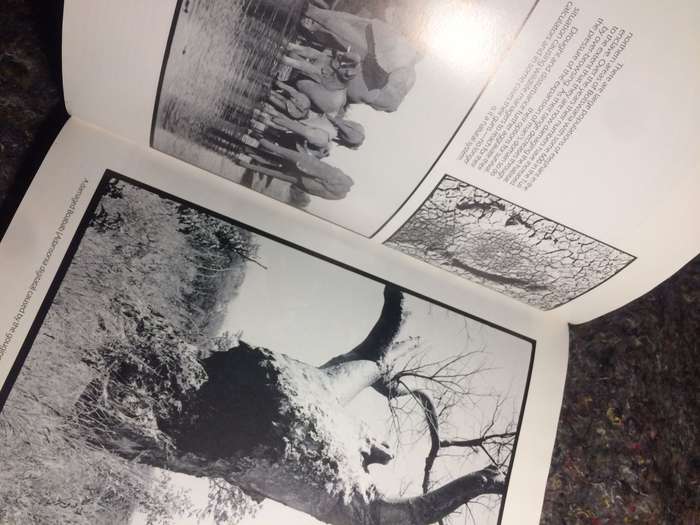 Twilight of the Giants - Clive Walker (1st Edition Hardcover)
