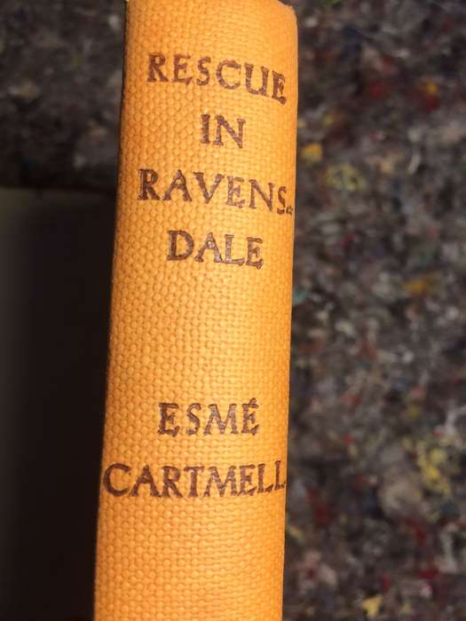RESCUE IN RAVENSDALE - Esme Cartmell (1st Edition Hardcover)