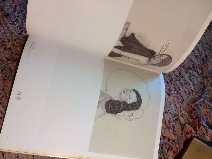 Drop Dead Cute: The New Generation of Woman Artists in Japan - Ivan Vartanian (2005 1st Edition)
