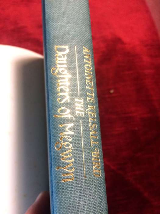 The Daughters of Megwyn - Antoinette Kelsall Bird (1987 1st Edition Hardcover)