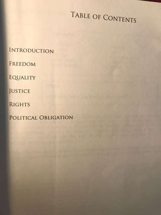 Puzzles in Contemporary Political Philosophy: An Introduction for SA Students - Louise Vincent