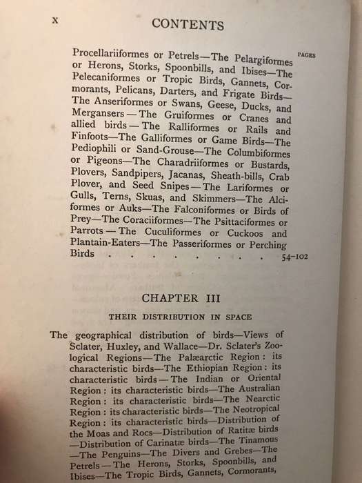 The Story of the Birds: Introduction to the Study of Ornithology - Charles Dixon (1900 1st Edition)
