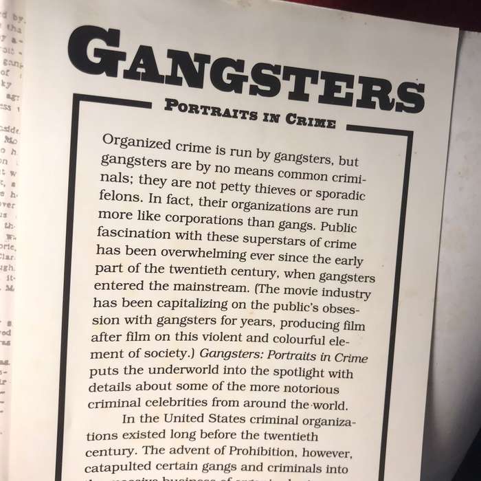 Gangsters: Portraits in Crime - Joshua B Feder