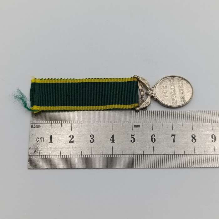 Territorial Efficiency medal miniature - post 1952