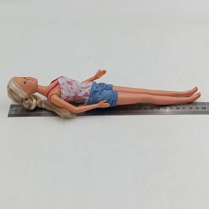 Steffi Love bike tour doll with pieces missing - Bicycle perfect condition