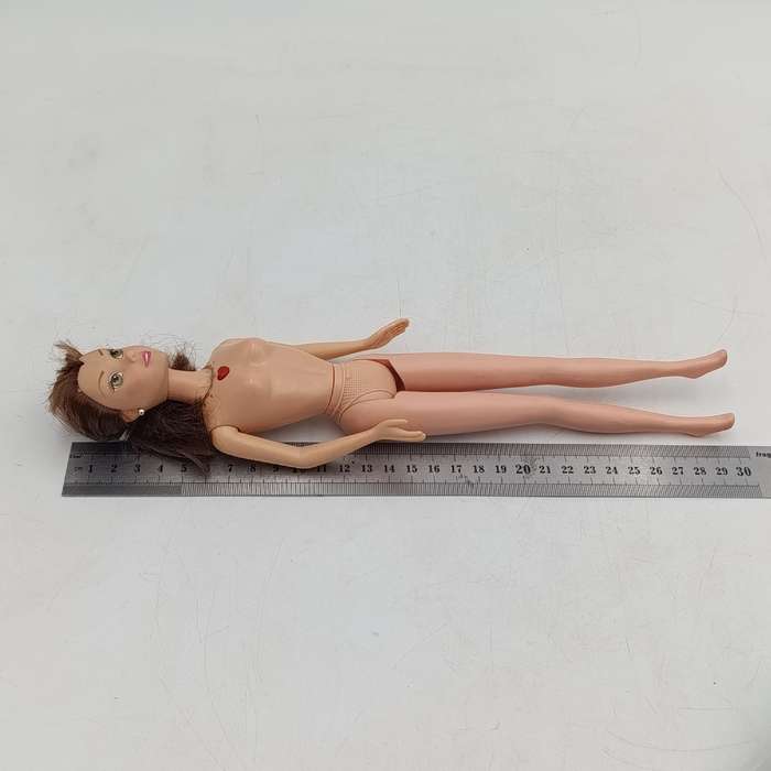 Barbie and The diamond castle dolls - No outfits
