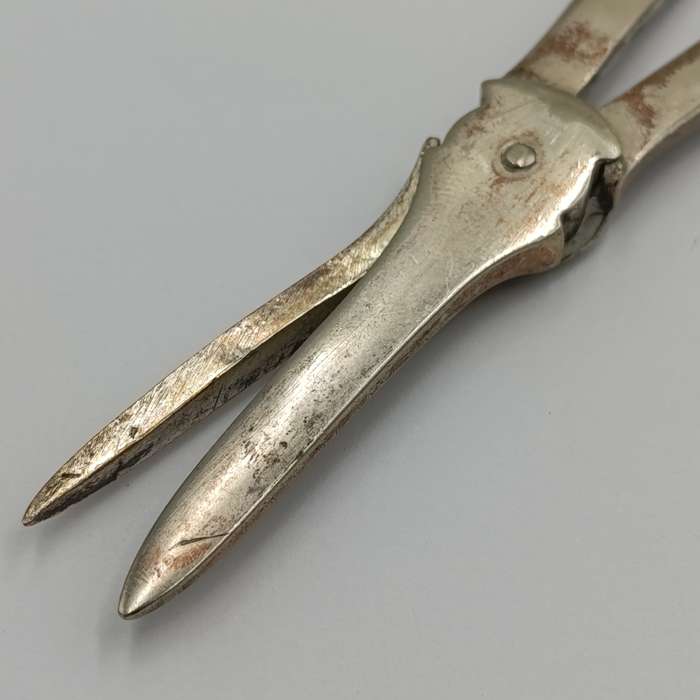 Antique Silver plated grape shears
