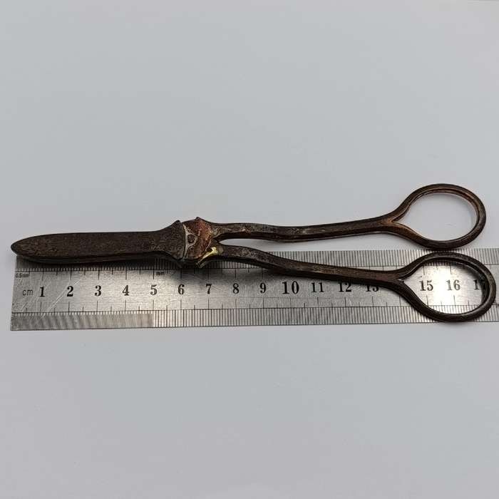 Antique silver plated grape shears