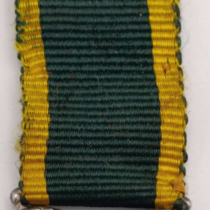 WW2 Efficiency medal miniature