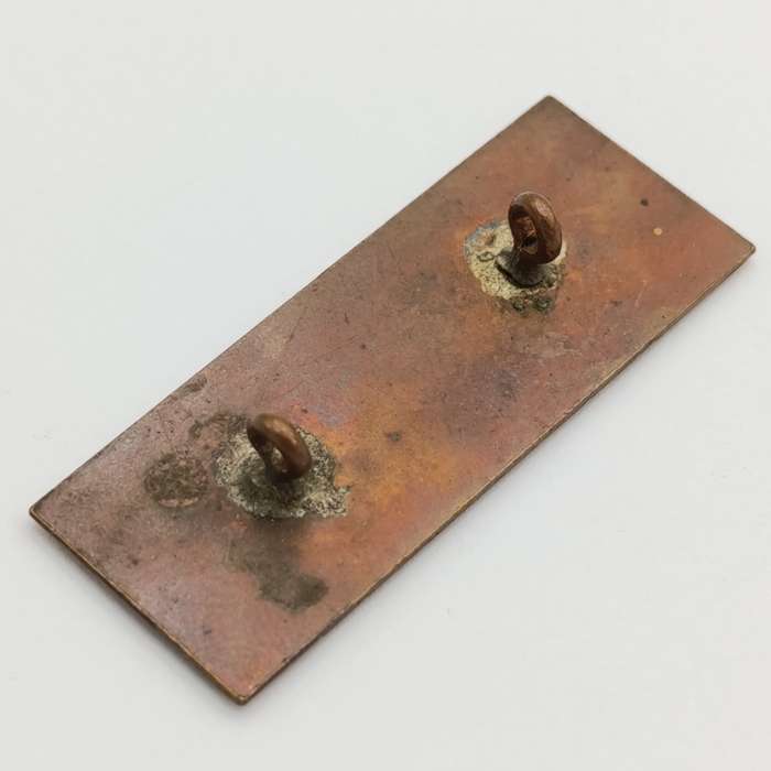 SA Railways Yard official badge