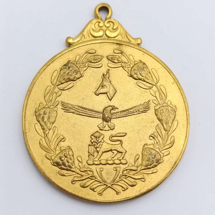 South African Defence Force medallion