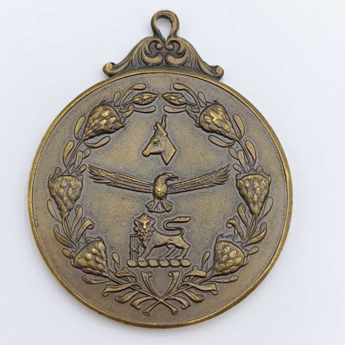 South African Defence Force medallion