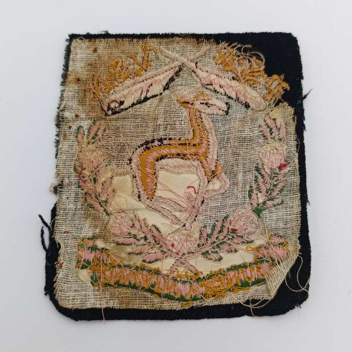 Public Servant Association of South Africa cloth badge