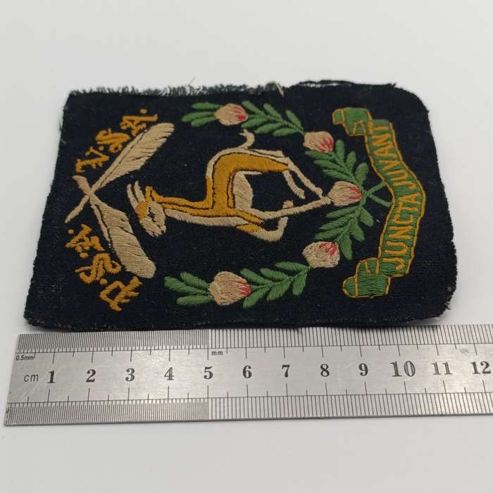 Public Servant Association of South Africa cloth badge