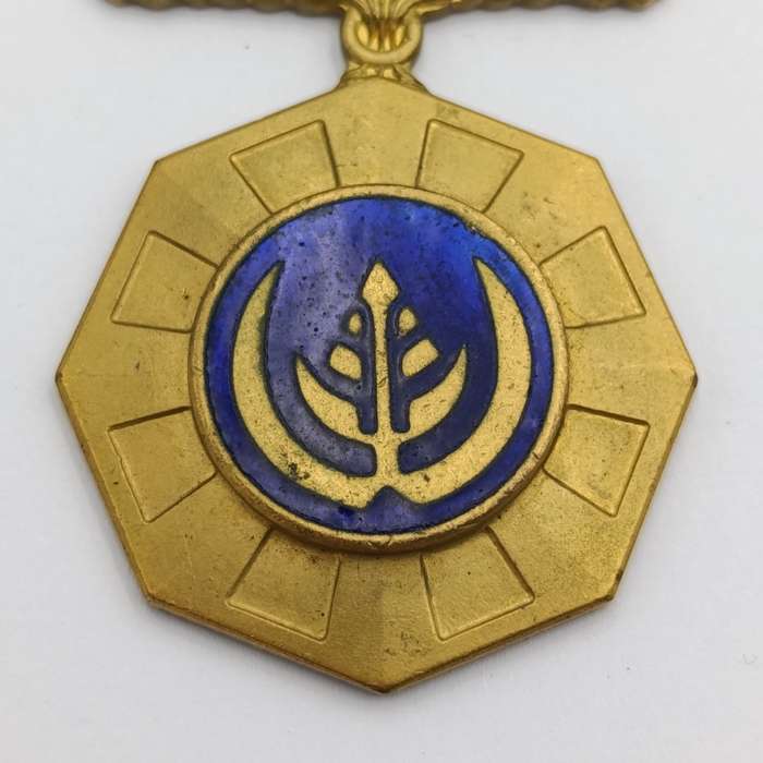 SADF Pro Patria medal - fixed type - #138562