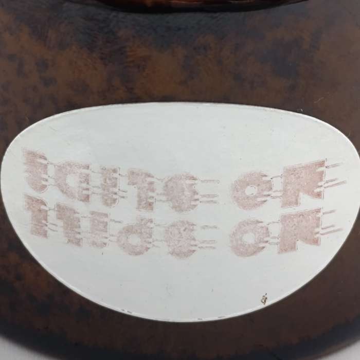 Vintage Bearly surviving mariner mug