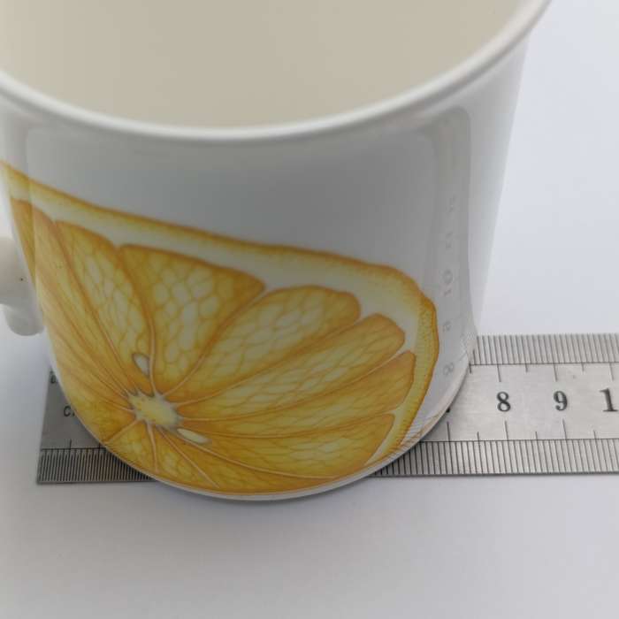 Royal Albert Juicy Fruits series lemon juice mug