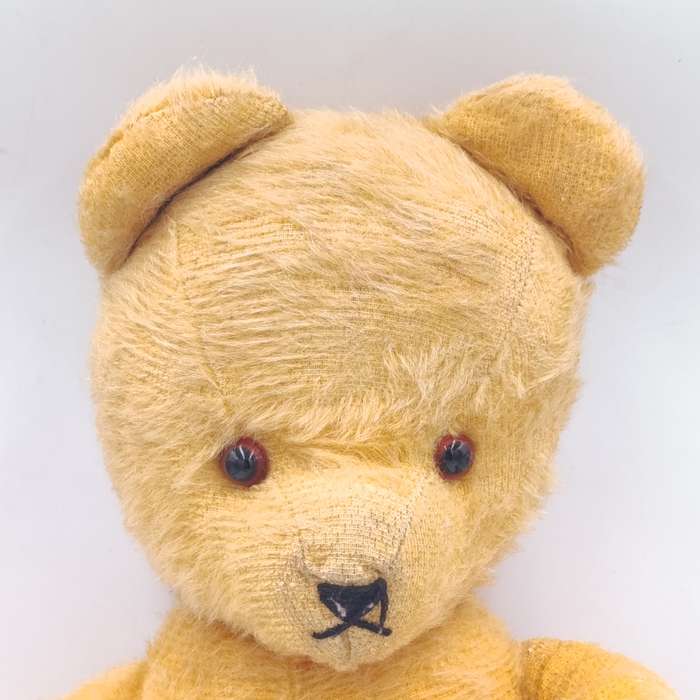 Beautiful vintage teddy bear