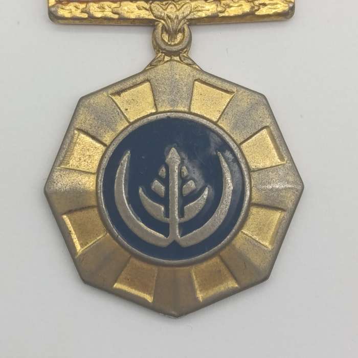 SADF Pro Patria medal - fixed type - #358255