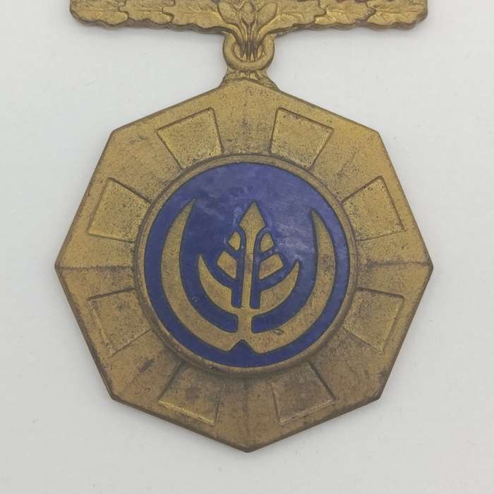 SADF Pro Patria medal - fixed type - #161103