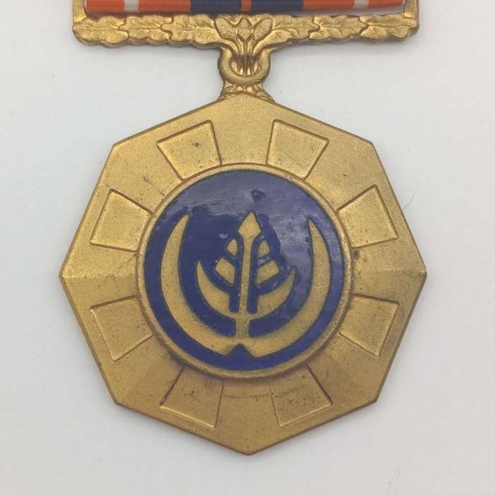 SADF Pro Patria medal - #163613 - fixed type