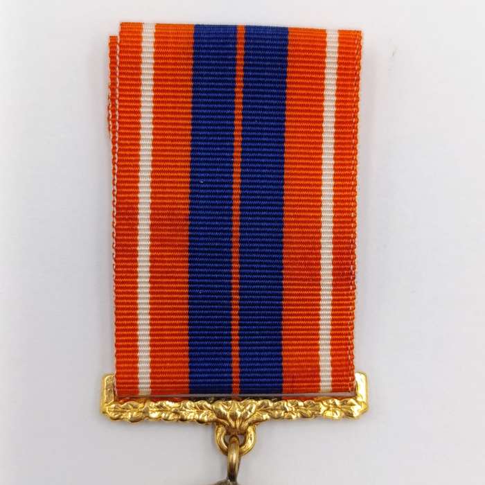SADF Pro Patria medal - Swivel type - #13210
