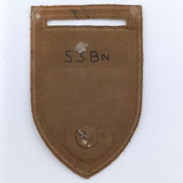 SADF 53 SA Infantry battalion tupperware flash