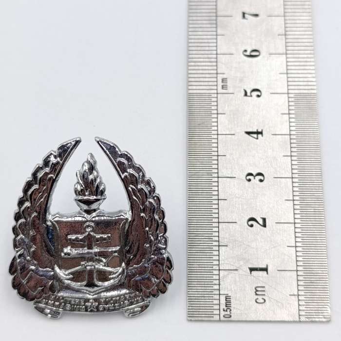 SADF Army Gymnasium beret badge