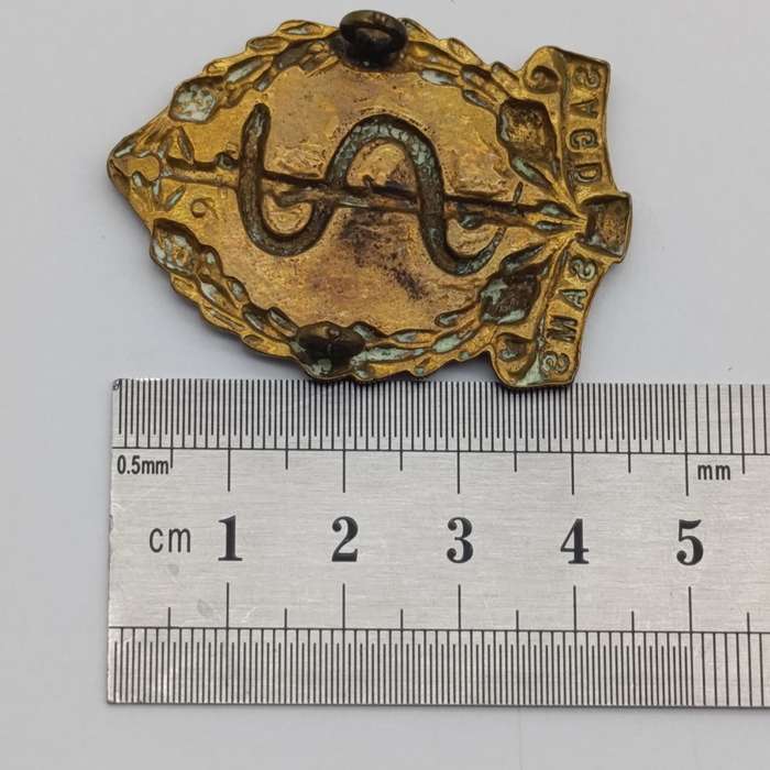 SA Medical  Corps Cap badge