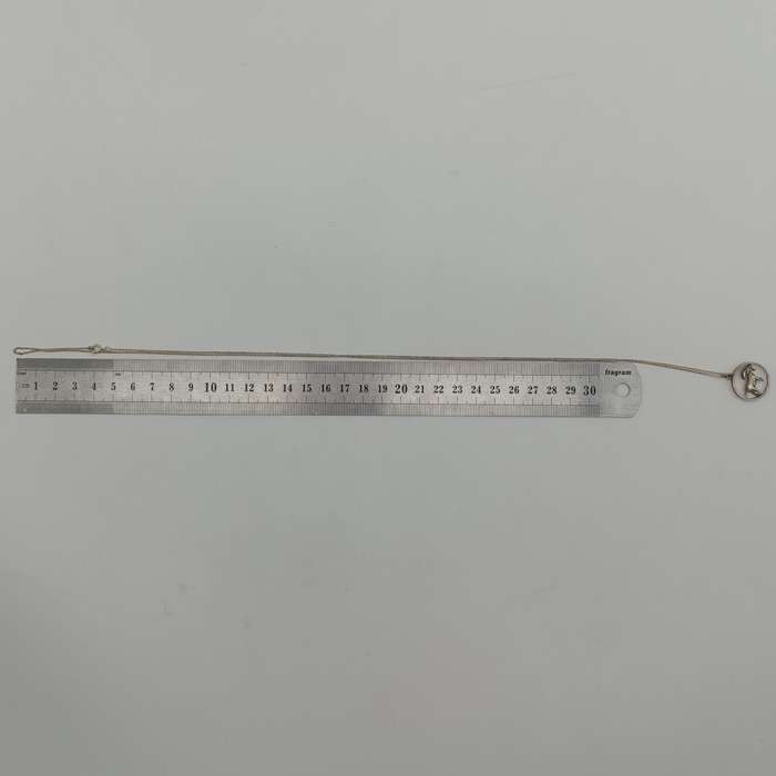 Sterling silver necklace with goat pendant - weighs 5.9g