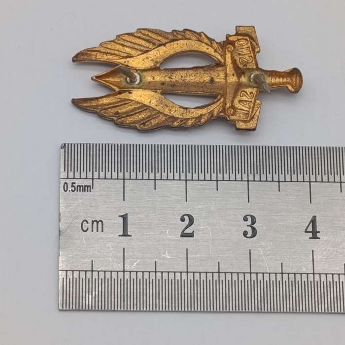 SADF Regiment Northern Transvaal beret badge