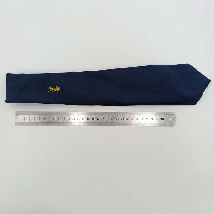 SADF 1 Construction regiment tie