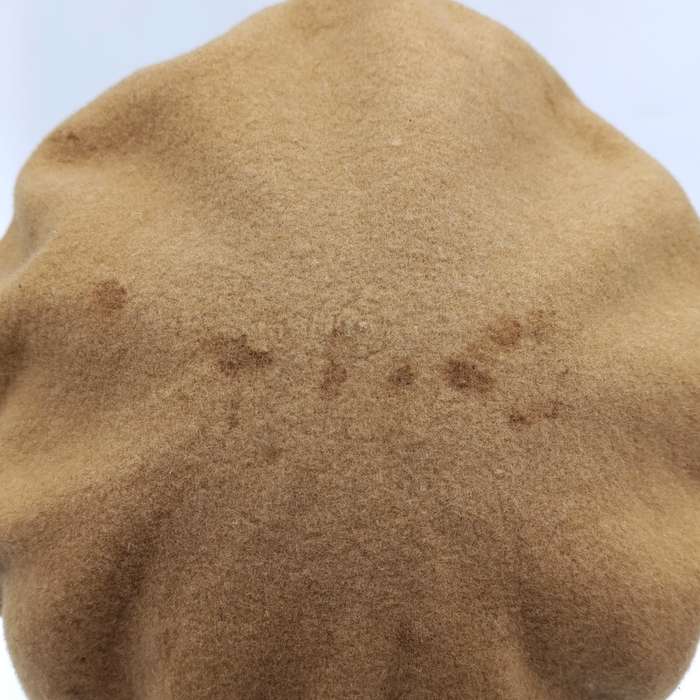 SADF Signal Corps beret with badge and balkie