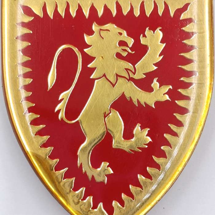 SADF De La Reyville commando shoulder flash