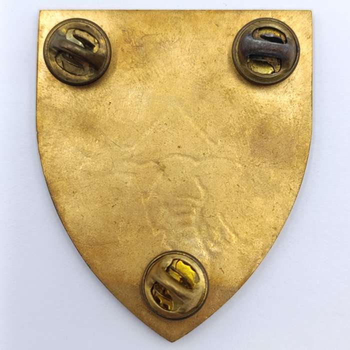 SADF Clanwilliam Commando Shoulder flash - some cracking