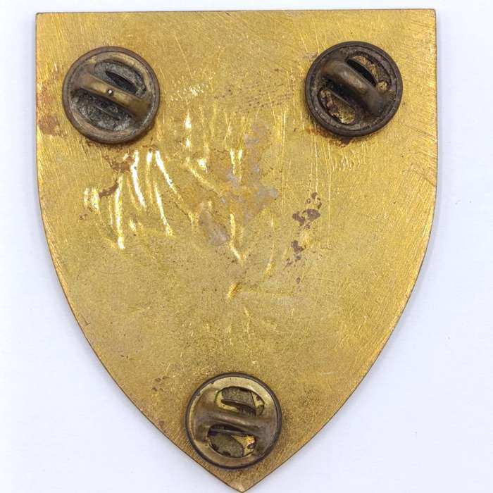SADF Regiment Piet Retief shoulder flash