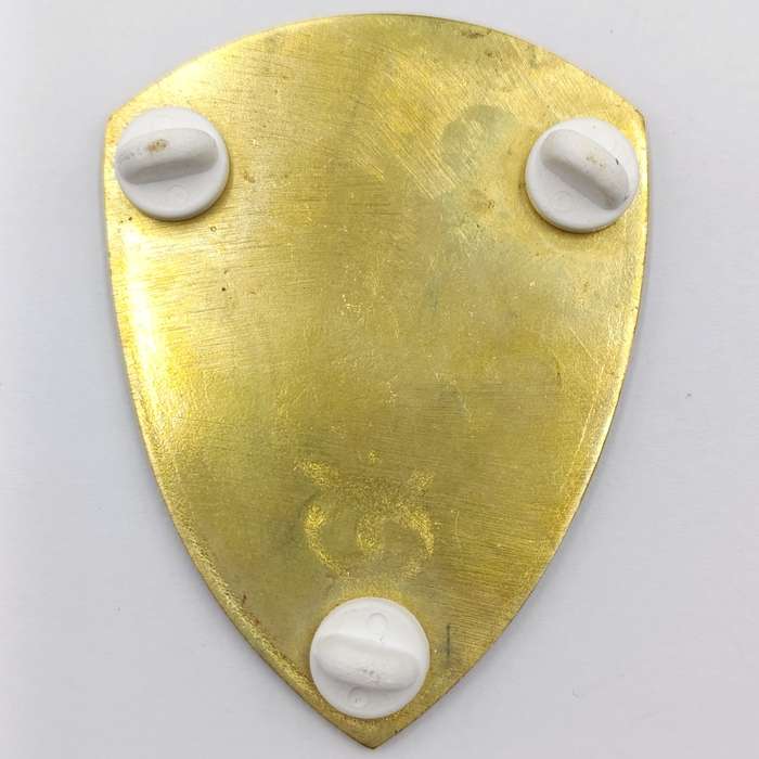 SADF 15 Field Ambulance shoulder flash