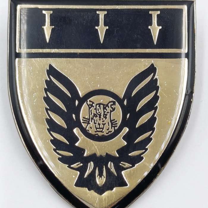 Bophuthatswana Defence Force Special Task force belt buckle badge