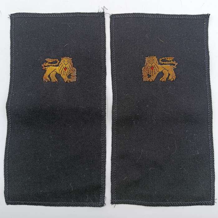 Pair of SA Navy bullion wire badges for epaulettes