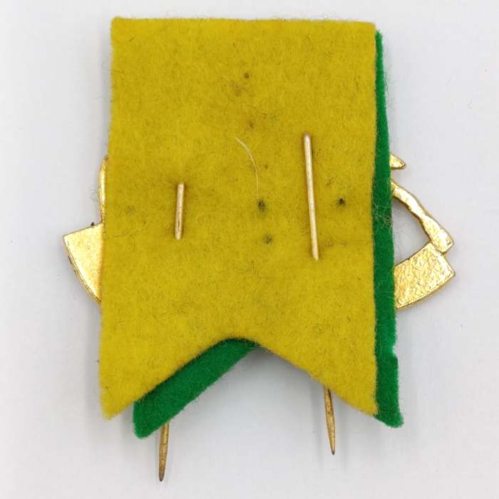 Vintage Springbok Rugby pin brooches - in English and Afrikaans