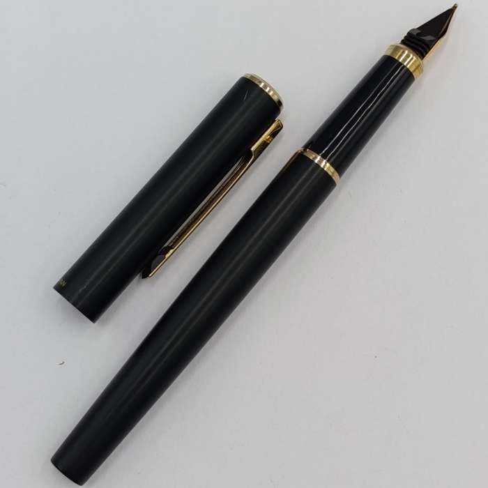 Vintage Sheaffer fountain pen