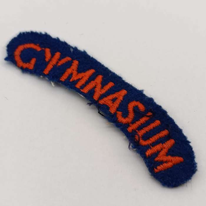 Pair of SA military Gymnasium shoulder cloth titles