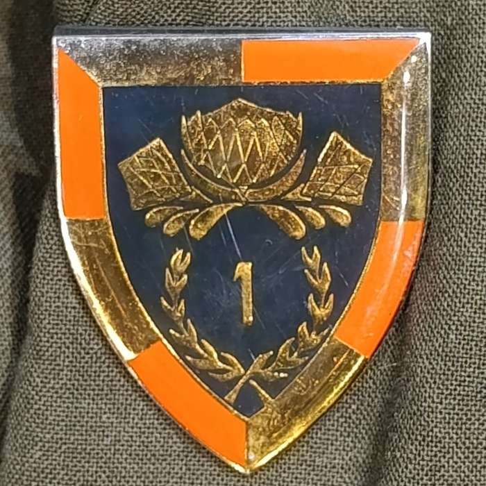 SADF 1 special service battalion 2nd lieutenant. Step-out tunic