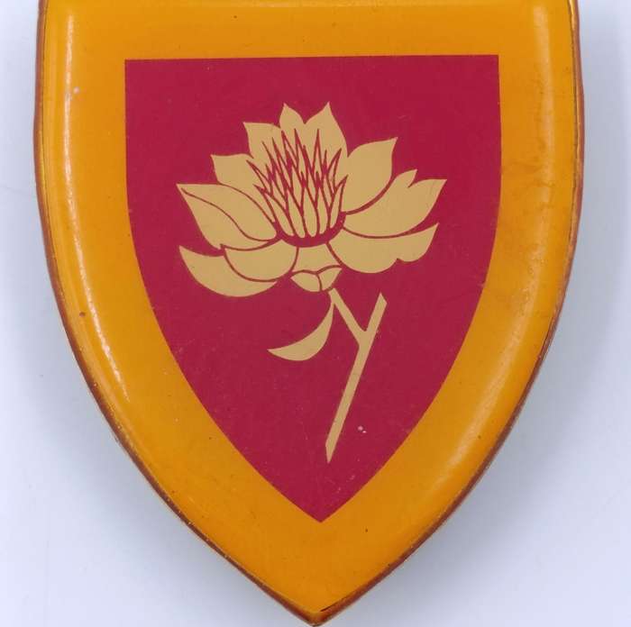 SA Army Womens College shoulder flash