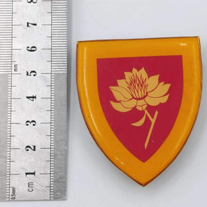 SA Army Womens College shoulder flash