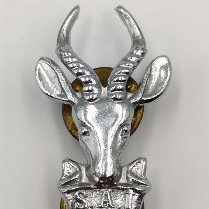Pair of SA Infantry bokkop collar badges
