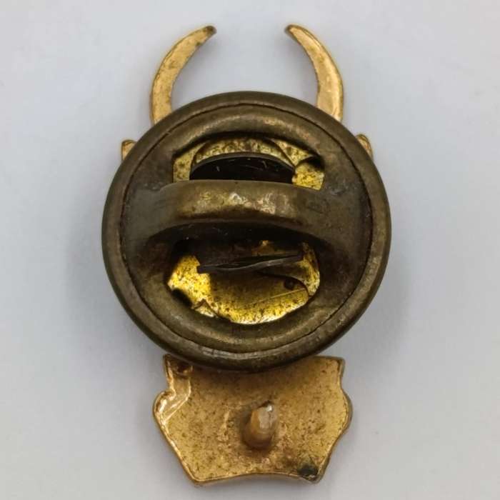 Pair of SA Infantry bokkop mess dress collar budges