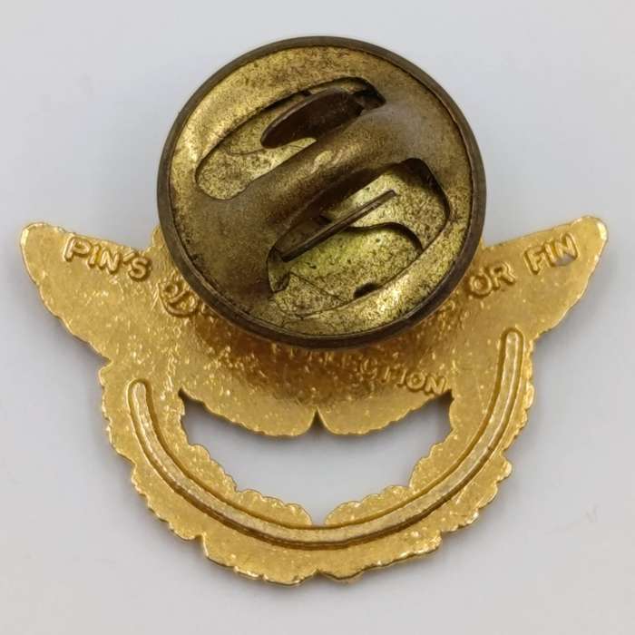 French Air Force pilot Lapel pin badge